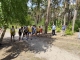 img_20260520_121946